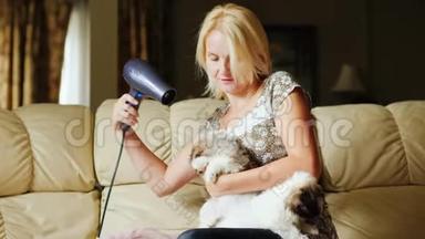 爱护和爱护宠物.. 一个女人用吹风机给小狗烘干